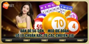 Xổ số Dàn đề 56 con